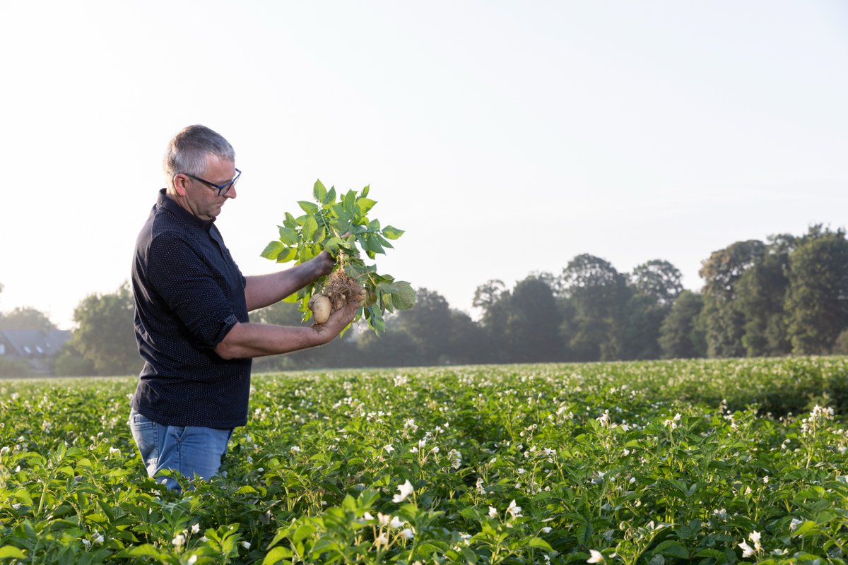 Cette semaine sur <a href="/agribretagne/">Agribretagne</a>, Jean-Michel vous dit tout sur la pomme de terre ! <a href="/LeGouessant/">Le Gouessant</a>