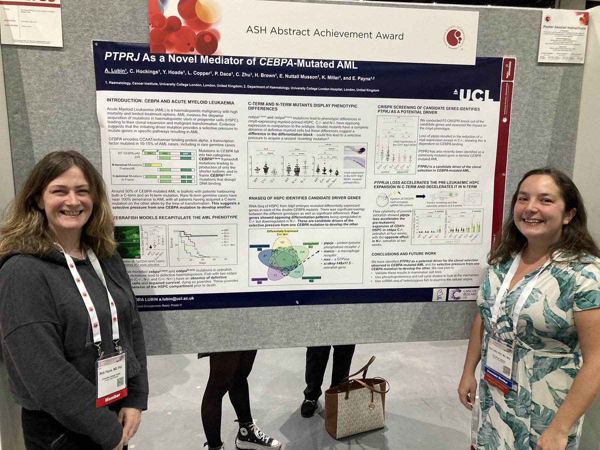 Fantastic poster session yesterday. 🎉 Congratulations 🎉 to <a href="/AlexandraCPike/">Alexandra Pike</a> and the team at Leeds, and to <a href="/AlexLubin6/">Alex Lubin</a> &amp; <a href="/bethpay/">Beth Payne</a> and the team at UCL on their ASH Abstract Achievement Awards - a double win for Blood Cancer UK funded grants! 🏆 #ASH23