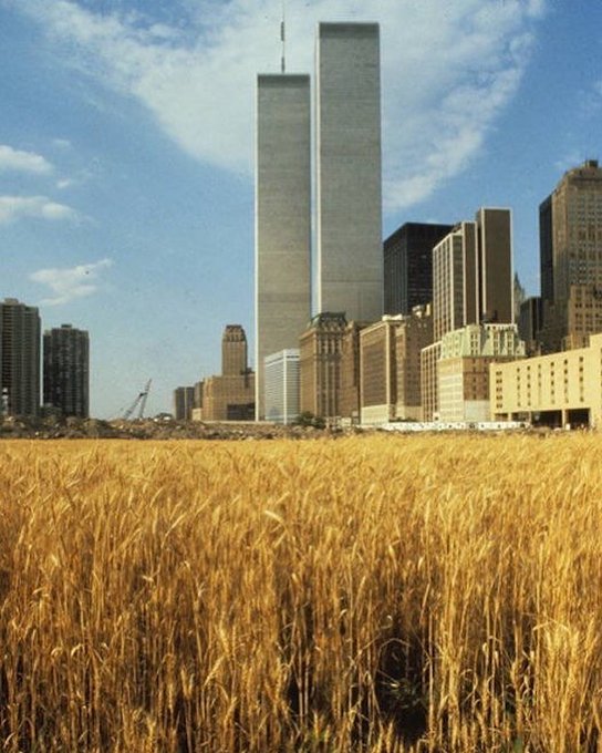 The Twin Towers from a wheat field in Manhattan.