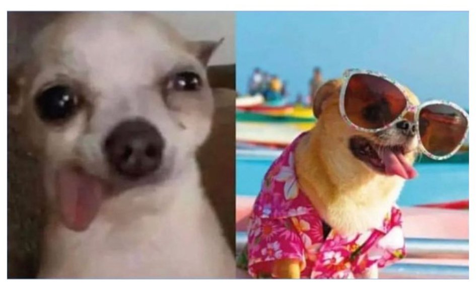 GT_Guide's tweet image. Yo 8am en el trabajo // Yo 8am listo para desayunar en el hotel