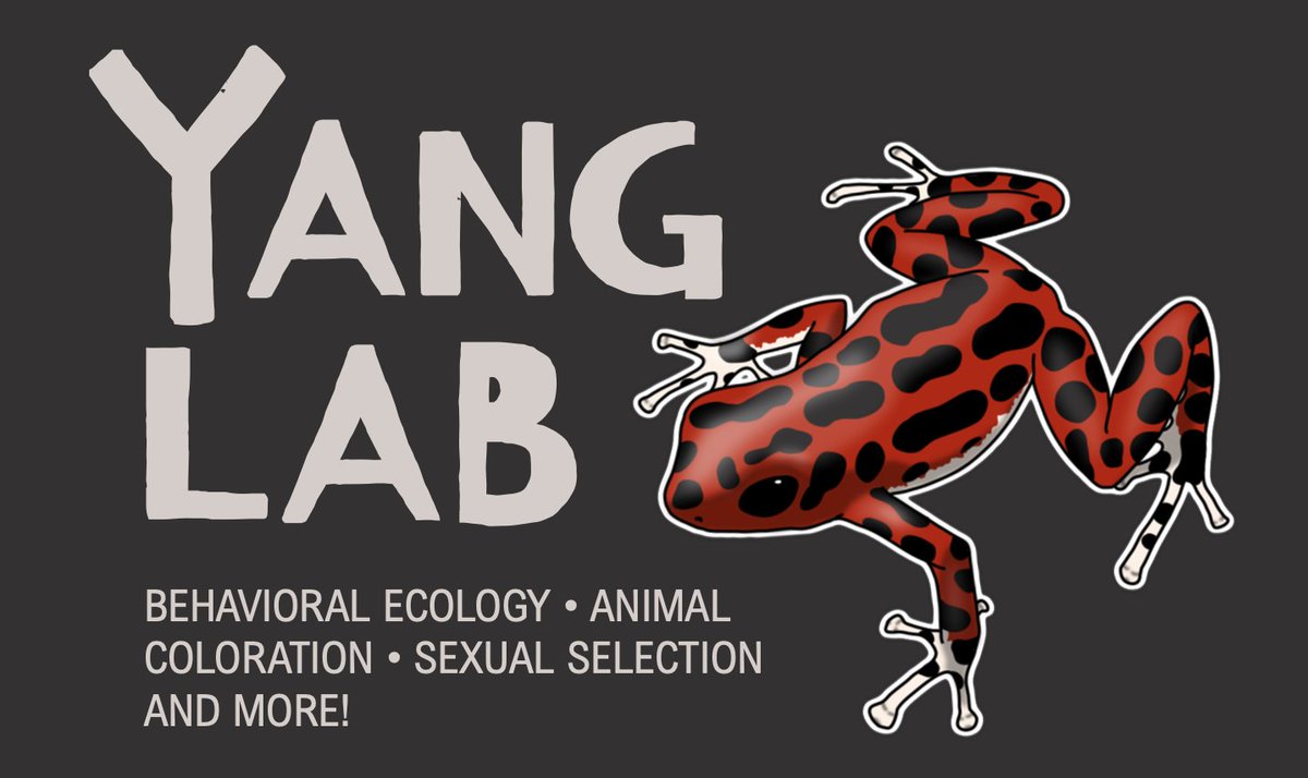 My lab at @USouthFlorida is looking for a postdoc to collaborate on a project on the evolution of poison frog color, behavior, and learning. I will be at #SICB2024 to chat - come join us 😀 Details on how to apply: shorturl.at/uwxIU Please share widely!