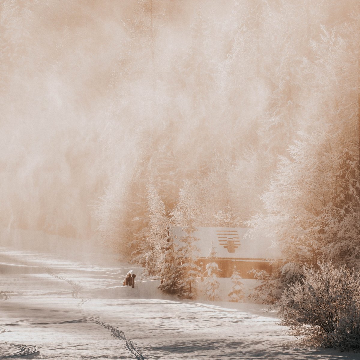 Windsor Vineyards tweet media