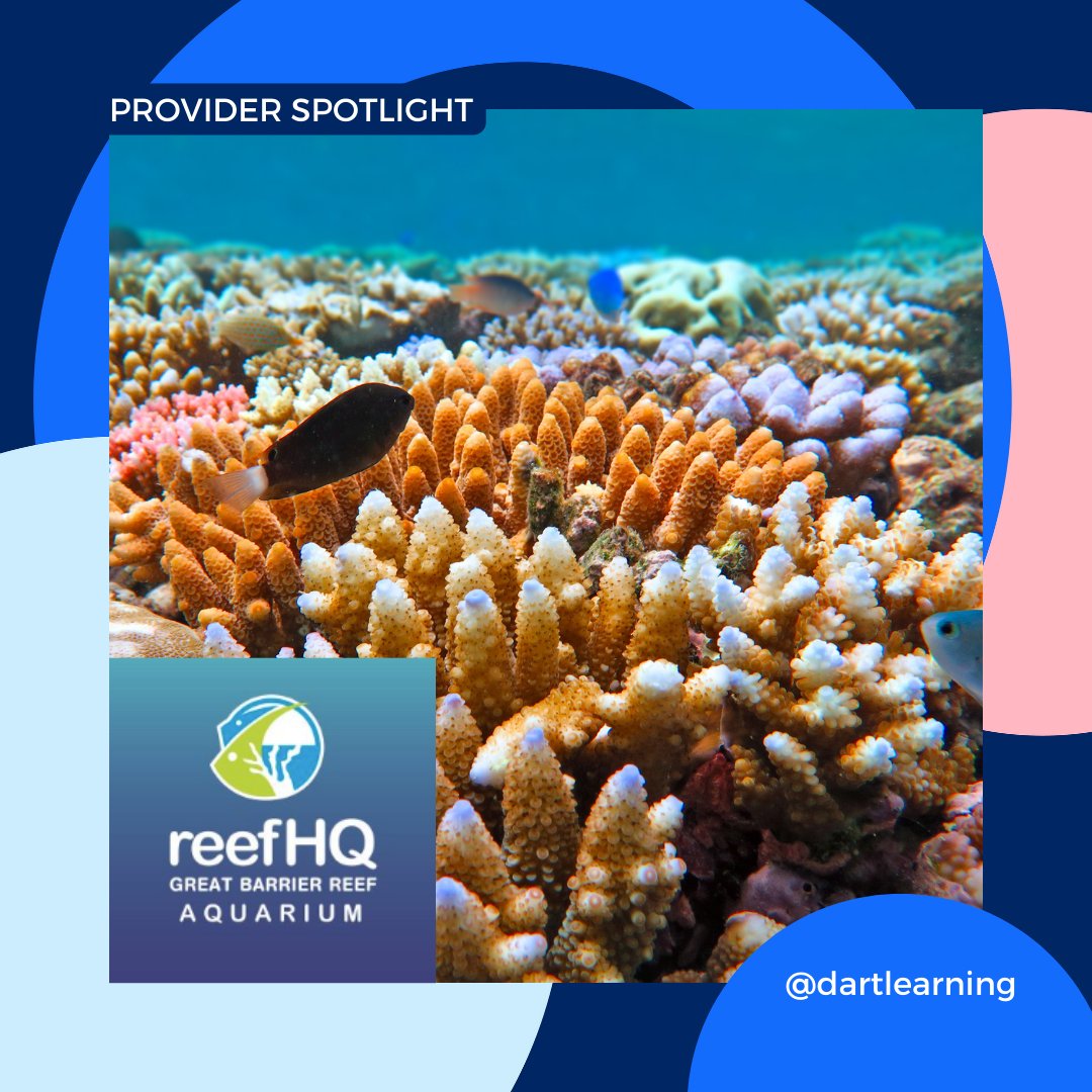 Dive into the wonders of the Great Barrier Reef from the comfort of your classroom! 🐠🌊   Our marine educators are ready to bring the magic of the Reef to you. 🐢🌏  dartlearning.org.au/provider/reef-…  #ReefHQ #VirtualLearning #GreatBarrierReef #DARTLearning