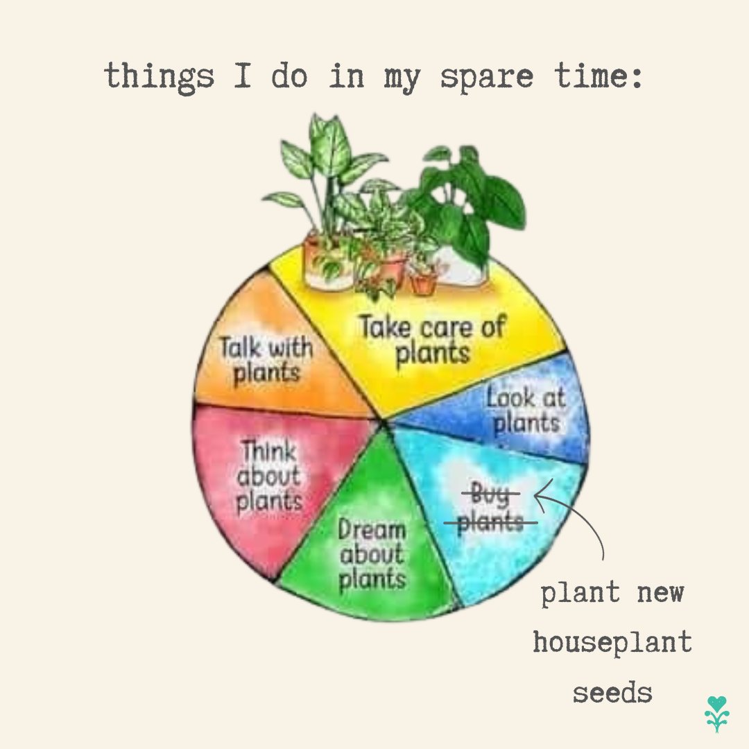 🙃How about you?

#HousePlants #IndoorJungle #TooManyPlants #MemeMonday