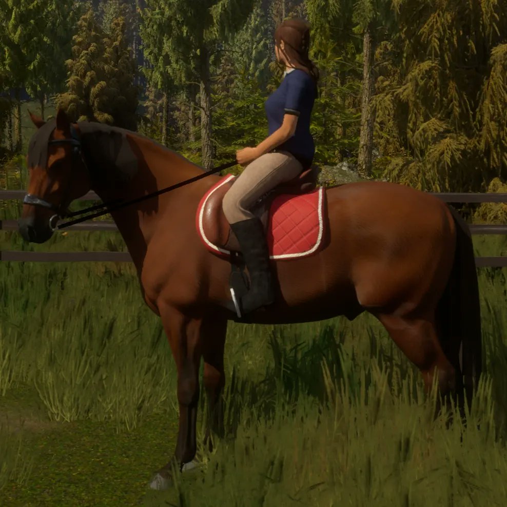 Now rider's position in saddle depends on the saddle type!

#horseprojectgame #horsegame #horsegames #indiegame #indiegamedev #equestrian #equestriansports #horselovers #gamedevelopment #newgame #simulator