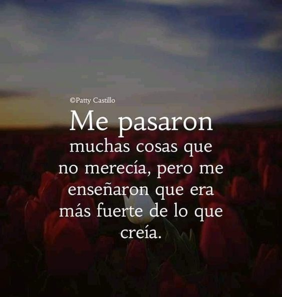 Rafael Berroa (@elgordo829) on Twitter photo 