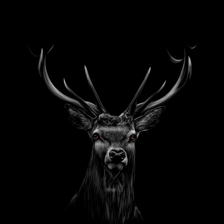 jaxis0's tweet image. #NewProfilePic