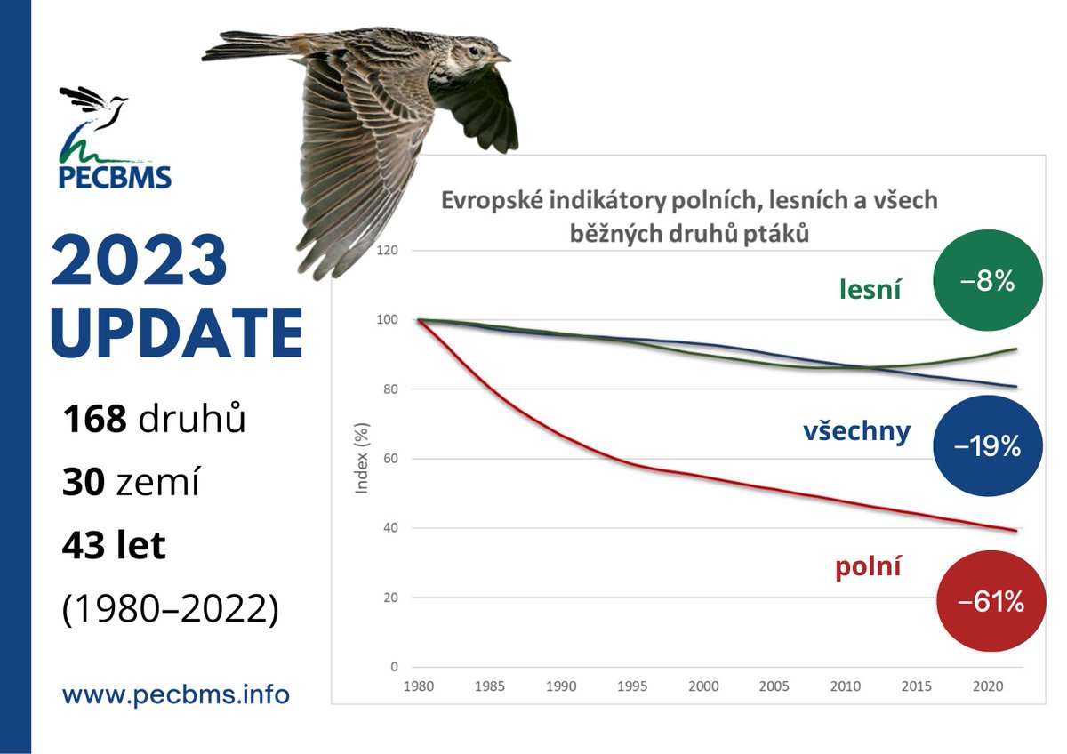 Zveřejnili jsme novou verzi indikátorů evropských ptáků - podle ní jsme od r. 1980 přišli o 19 % běžných ptačích druhů. Alarmující je 61% úbytek polních ptáků, kteří mizí kvůli intenzivnímu zemědělství. Nadějí je připravované nařízení EU #RestoreNature. birdlife.cz/od-80-let-z-ev…