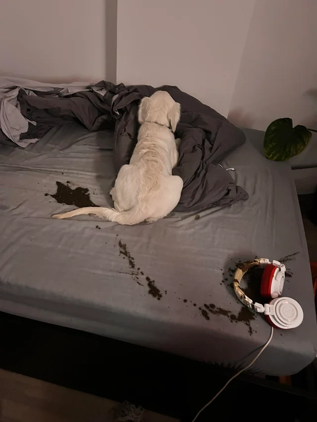 Insane Reality Leaks tweet media