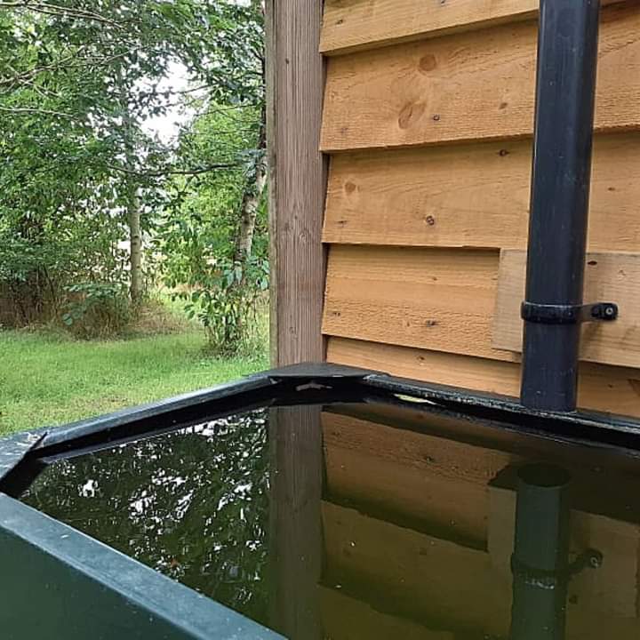 We've had a lot of rain recently so it's a great time to consider how we can be more water wise in our gardens. 💧

👉 Use rain water or reuse water where possible 🌧
👉 During the summer water the base of the plant ☀️
👉 Use bark to mulch, so less water will evaporate 🪴