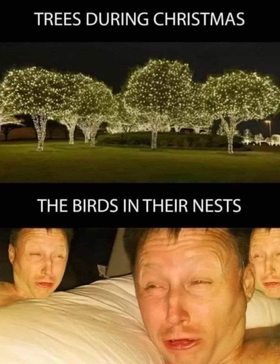 Just like us, animals don't like having artificial lights disturbing their nights - We offer 8 alternatives to OTT xmas lights to keep the vibe happening and our native wildlife happy <a href="/Biodivcouncil/">Biodiversity Council</a> @RMIT_CUR <a href="/ICON_Science/">ICON Science RMIT</a> 
theconversation.com/8-ways-to-tone… via <a href="/ConversationEDU/">The Conversation - Australia + New Zealand</a>