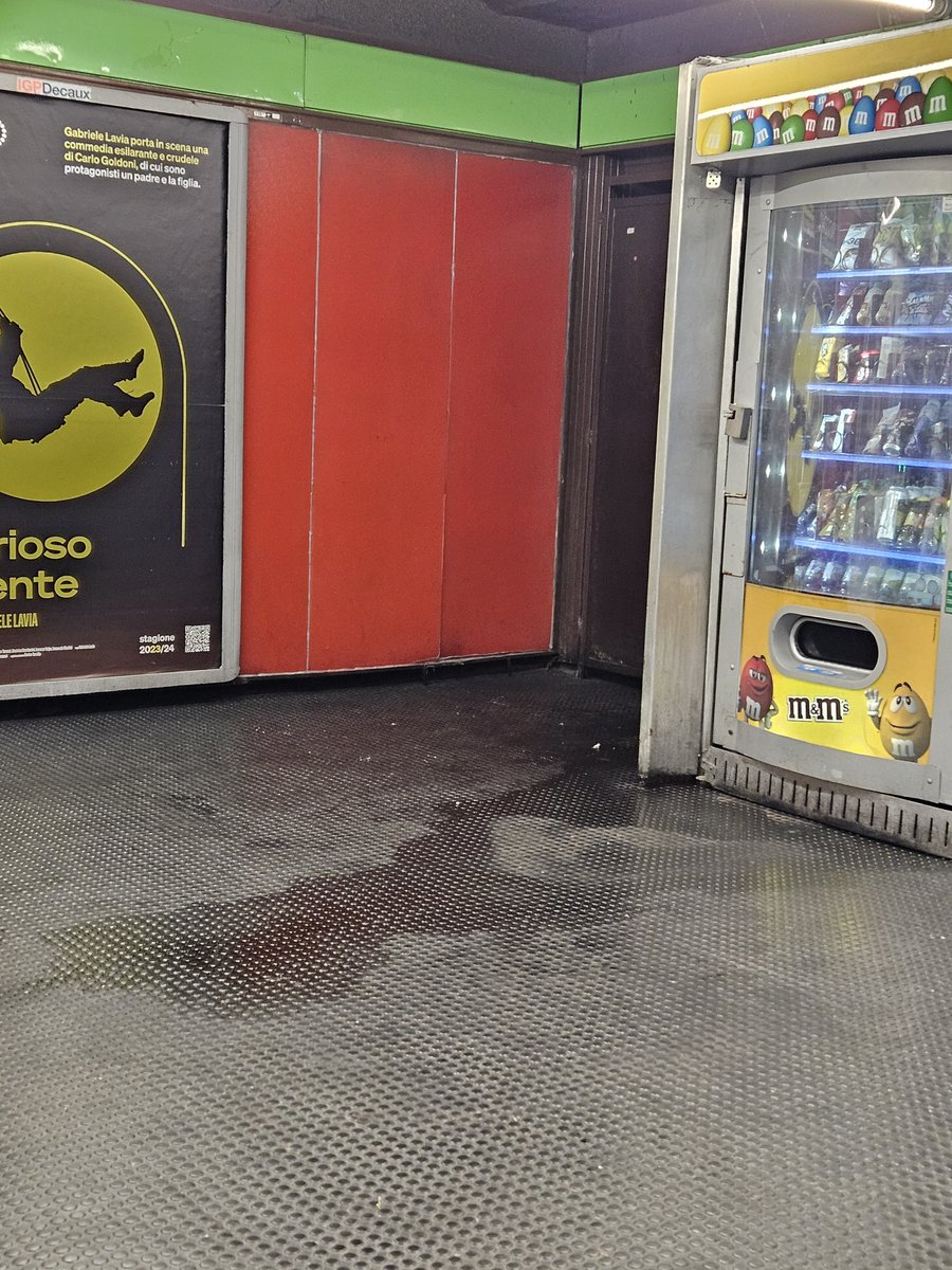 Marina Virzi tweet media