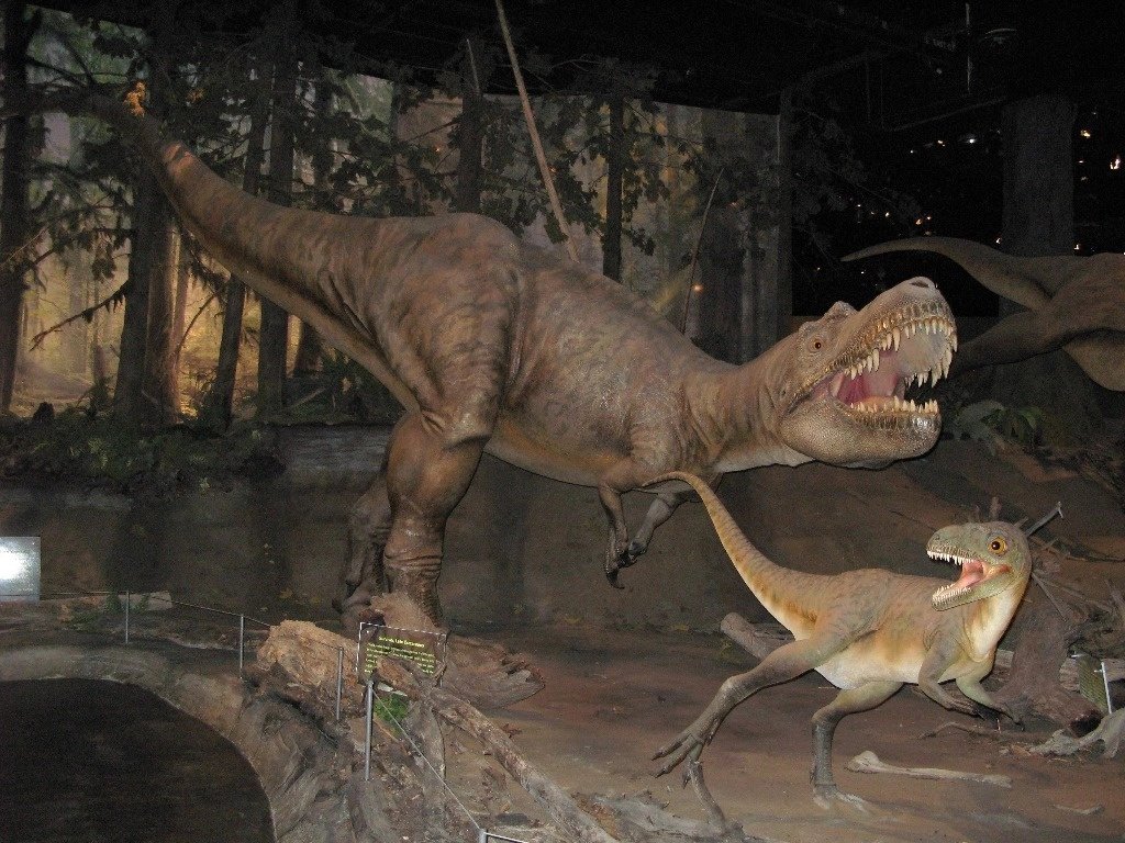 cursorenla's tweet image. #Fósiles de un #Gorgosaurus muestran #crías de dinosaurio desmembradas
El joven Gorgosaurus no dudaba en elegir su comida. Hace unos #75millonesdeaños, en la actual provincia #canadiense este temible primo del #TRex 

cursorenlanoticia.com.mx/fosiles-de-un.…