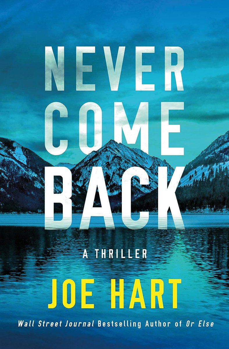 Happy book birthday to NEVER COME BACK, by @AuthorJoeHart! This is the next installment in Joe's thriller series starring Nora McTavish, CPS agent.