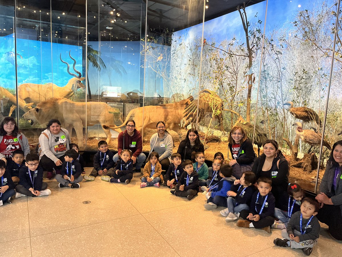 Panda Path PK (@pandapathpk) on Twitter photo Great learning opportunity for our 4 year old students during their visit to the Houston Museum of Natural Science! They were amazed with the Texas Wild Life and the Dinosaur exhibit! <a href="/SBISD/">Spring Branch ISD</a> <a href="/SbisdPreK/">SBISD PreK & Early Childhood</a> <a href="/MJenParker/">Jennifer Parker</a> Great learning opportunity for our 4 year old students during their visit to the Houston Museum of Natural Science! They were amazed with the Texas Wild Life and the Dinosaur exhibit! <a href="/SBISD/">Spring Branch ISD</a> <a href="/SbisdPreK/">SBISD PreK & Early Childhood</a> <a href="/MJenParker/">Jennifer Parker</a>