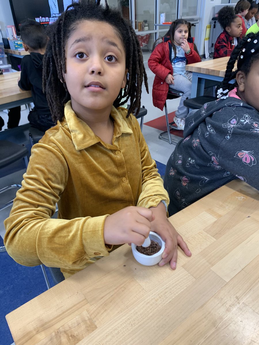 hensongrade3's tweet image. It’s the most wonderful garden club meeting of the year… where does chocolate come from?!!! Making chocolate from FRESH cocoa nibs YUMMMM #thisishowweSTEM #weknowwhereourfoodcomesfrom #greenteam