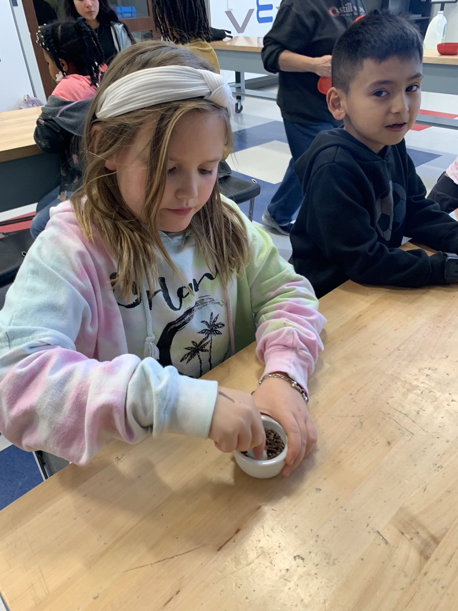 hensongrade3's tweet image. It’s the most wonderful garden club meeting of the year… where does chocolate come from?!!! Making chocolate from FRESH cocoa nibs YUMMMM #thisishowweSTEM #weknowwhereourfoodcomesfrom #greenteam