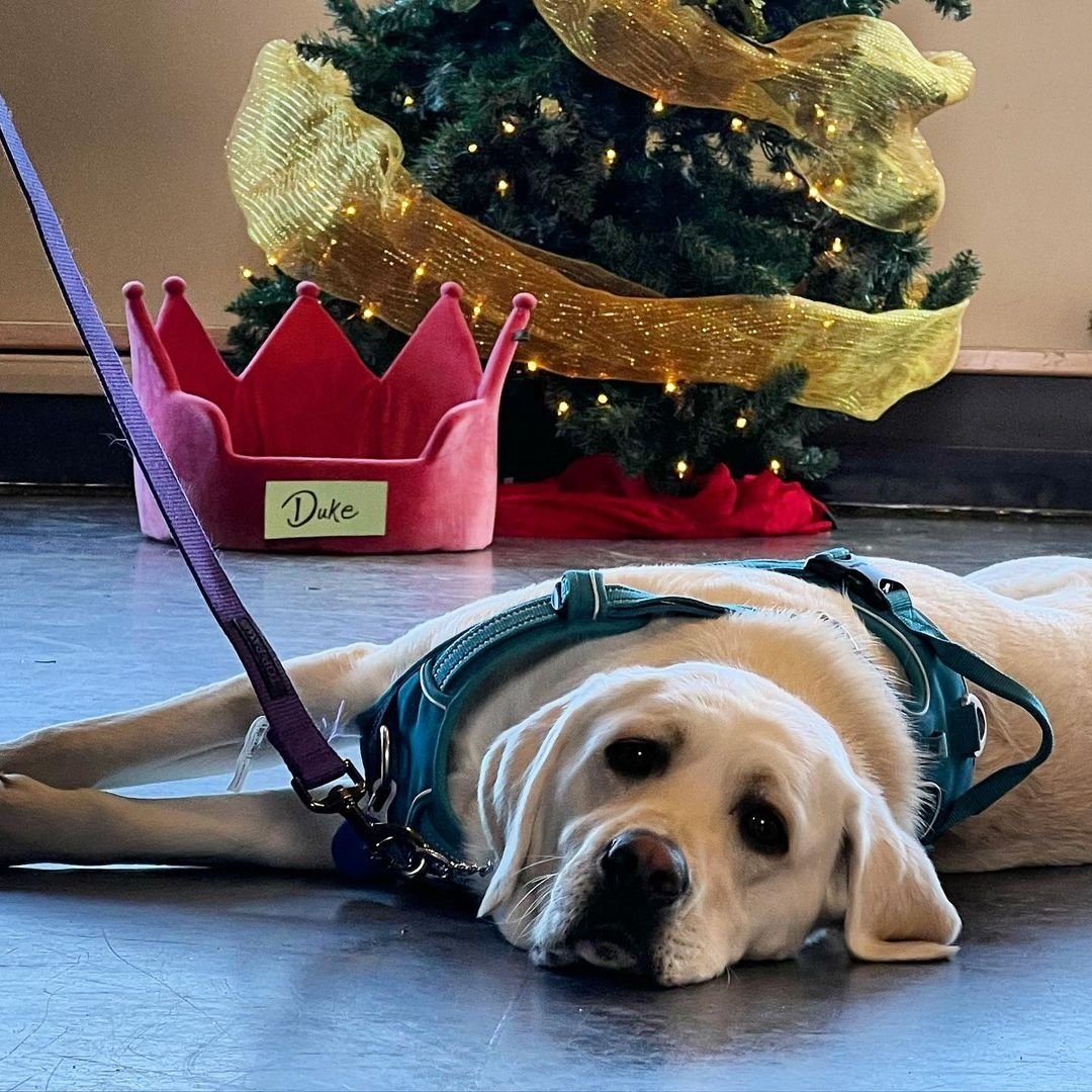 Amber Marshall (@ambermarsh87645) on Twitter photo 