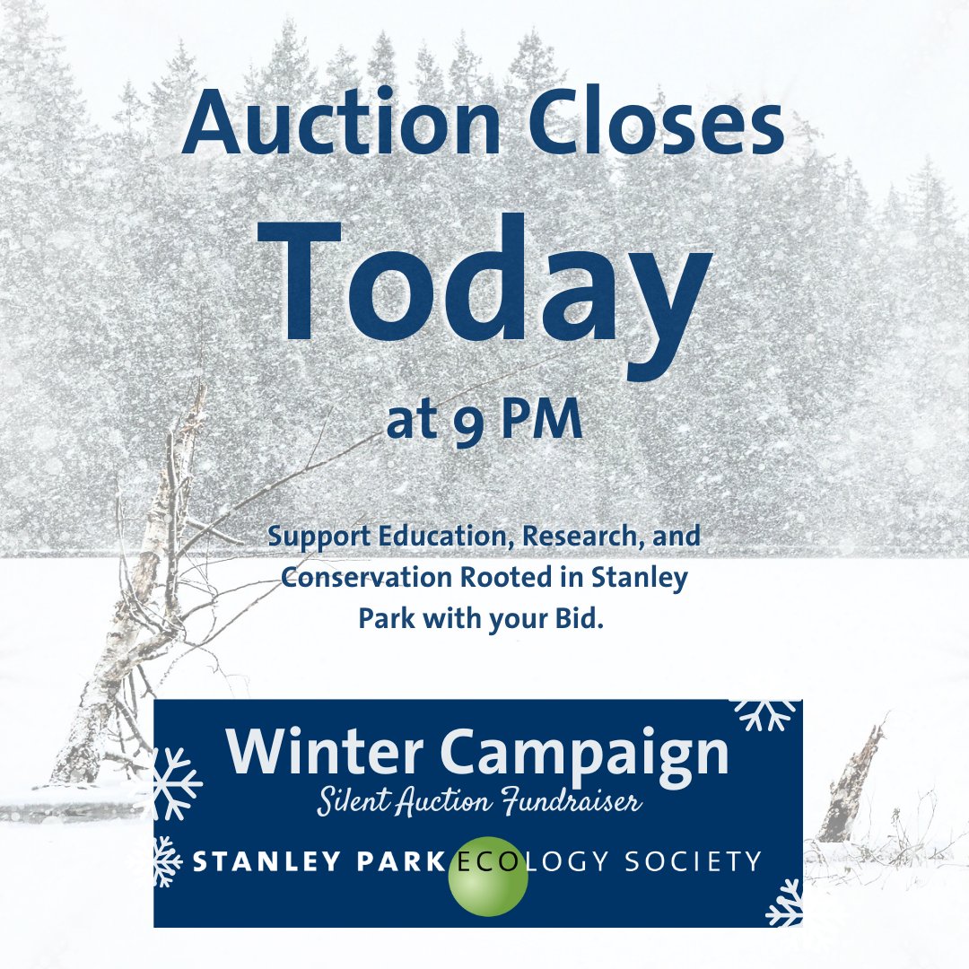 The winter campaign closes TODAY at 9:00 PM 🕘🕘🕘 Be sure to watch your final bids closely! can.givergy.com/stanleyparkeco… You can help champion education, conservation, and research in Stanley Park by clicking to win prizes! 📷 Greg Hart #fundraising #auction #stanleypark