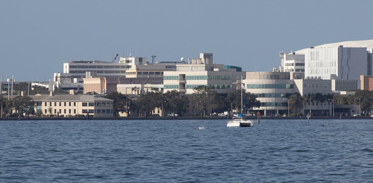 USF College of Marine Science @USFCMS from the bay