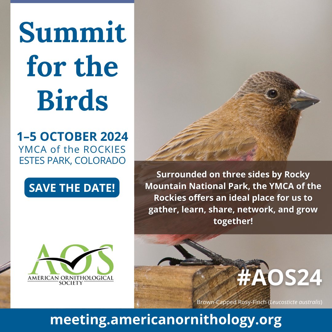SAVE THE DATE for the AOS 2024 Annual Meeting to be held at the YMCA of the Rockies in Estes Park, Colorado, 1–5 October 2024! Visit our meeting website for more details: meeting.americanornithology.org
#AOS24 #ornithologymeeting