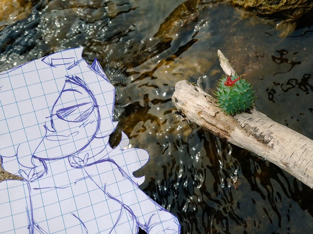 FanDeColette123's tweet image. Chicos sorry por no publicar nada es que  colett se fue de viaje con spike :v