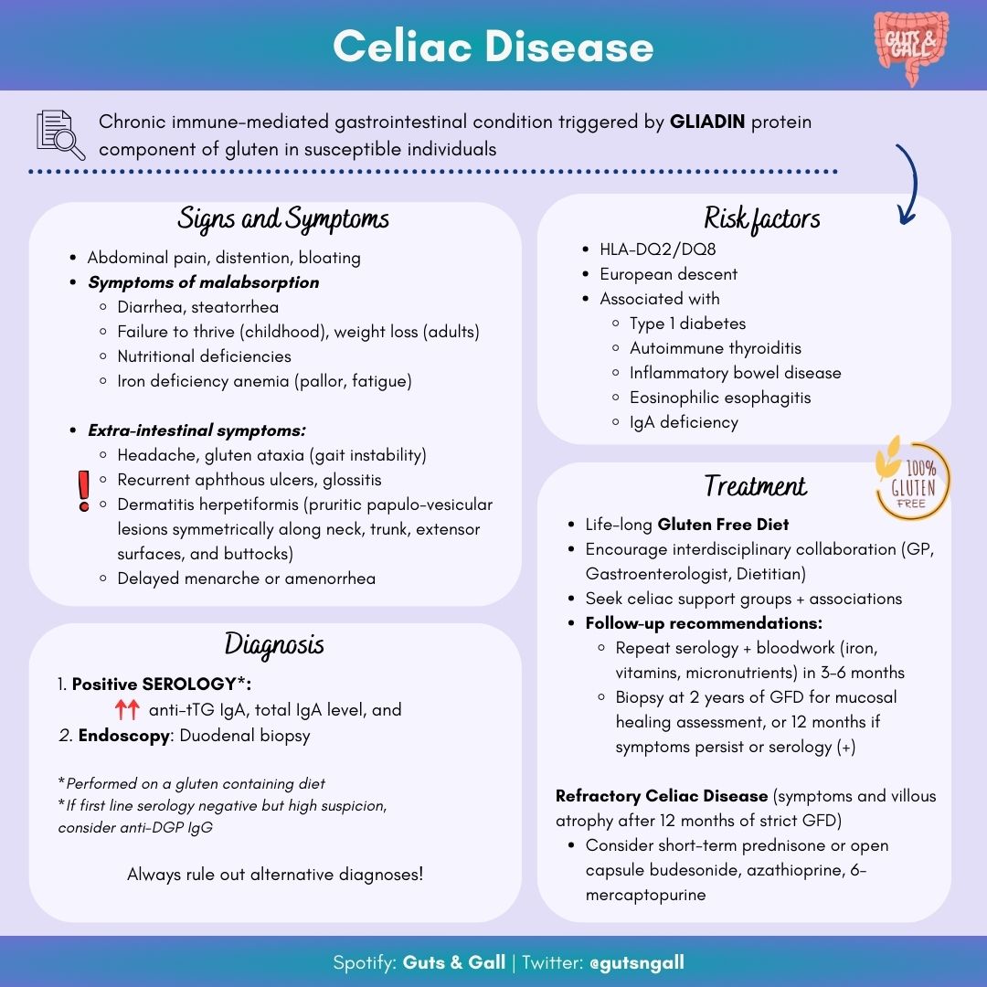 Guts & Gall (@gutsngall) on Twitter photo Want to learn more about Celiac disease? In this episode of @gutsngall <a href="/KaylaDadgar/">Kayla Dadgar MD</a> chats with <a href="/OttawaIM/">Ottawa IM</a> resident <a href="/jamie_zhen/">Jamie Zhen</a> about the assessment and management of #celiac🍞
Infographic 👩🏽🎨: <a href="/ZuhalMohmand/">Zuhal Mohmand</a>
open.spotify.com/episode/1wKNut… Want to learn more about Celiac disease? In this episode of @gutsngall <a href="/KaylaDadgar/">Kayla Dadgar MD</a> chats with <a href="/OttawaIM/">Ottawa IM</a> resident <a href="/jamie_zhen/">Jamie Zhen</a> about the assessment and management of #celiac🍞
Infographic 👩🏽🎨: <a href="/ZuhalMohmand/">Zuhal Mohmand</a>
open.spotify.com/episode/1wKNut…