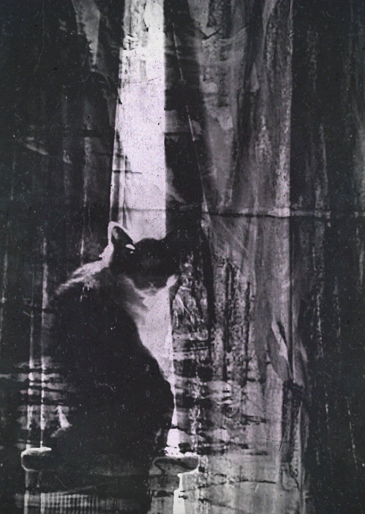 𝘉𝘌𝘓𝘓𝘈 

．