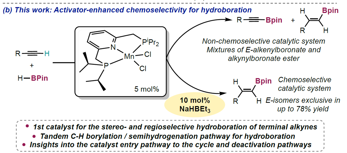 Tandem Manganese Catalysis for the Chemo-, Regio-, and Stereoselective Hydroboration of Terminal Alkynes (<a href="/RebecaA61689283/">Rebeca Arevalo</a>): chemrxiv.org/engage/chemrxi… (<a href="/ChemRxiv/">ChemRxiv</a>).