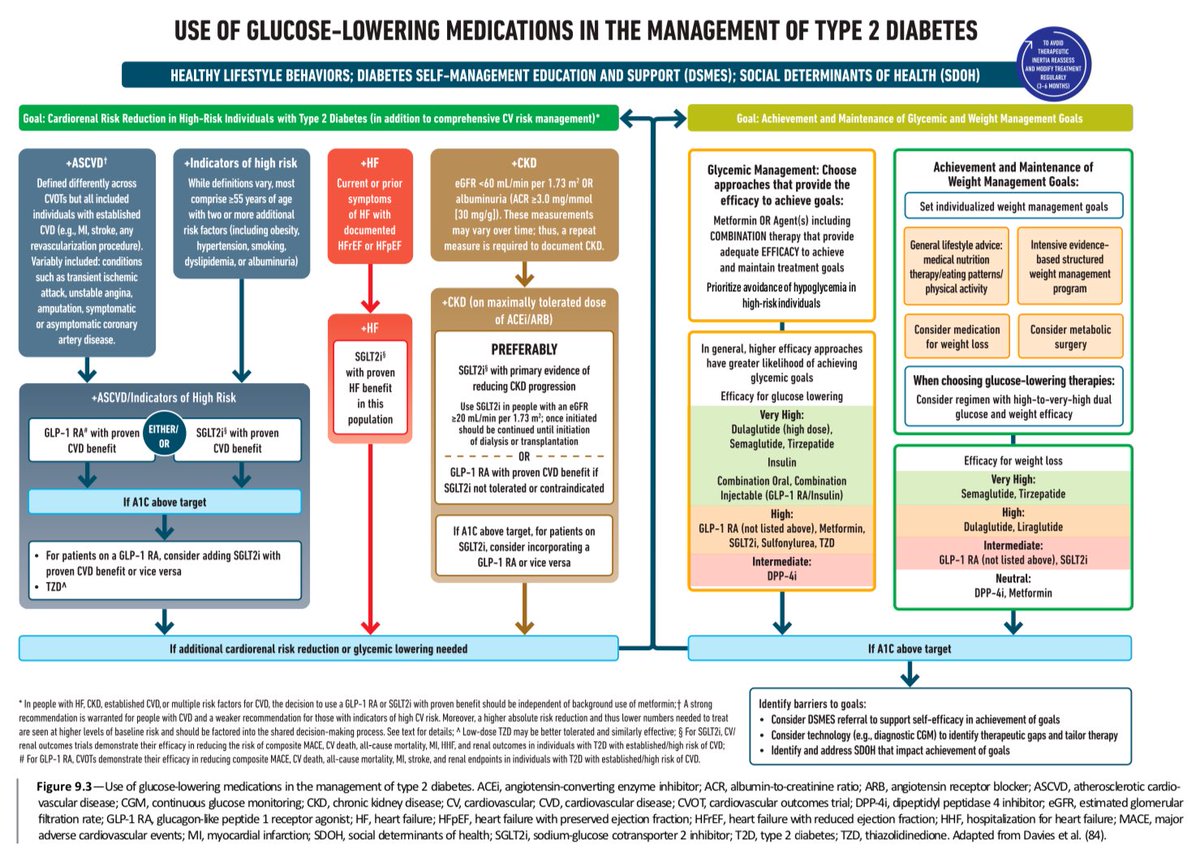 SeguraCardio's tweet photo. 📌Pharmacologic Approaches to Glycemic Treatment: Standards of Care in Diabetes—2024‼️

#ADA2024 #T2DM #Diabetes #Guidelines https://t.co/c40eO6KJRH