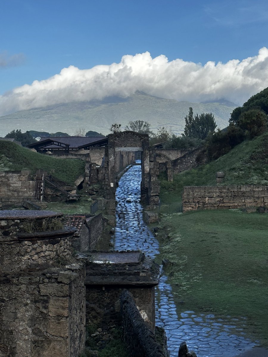 pompei79 tweet picture