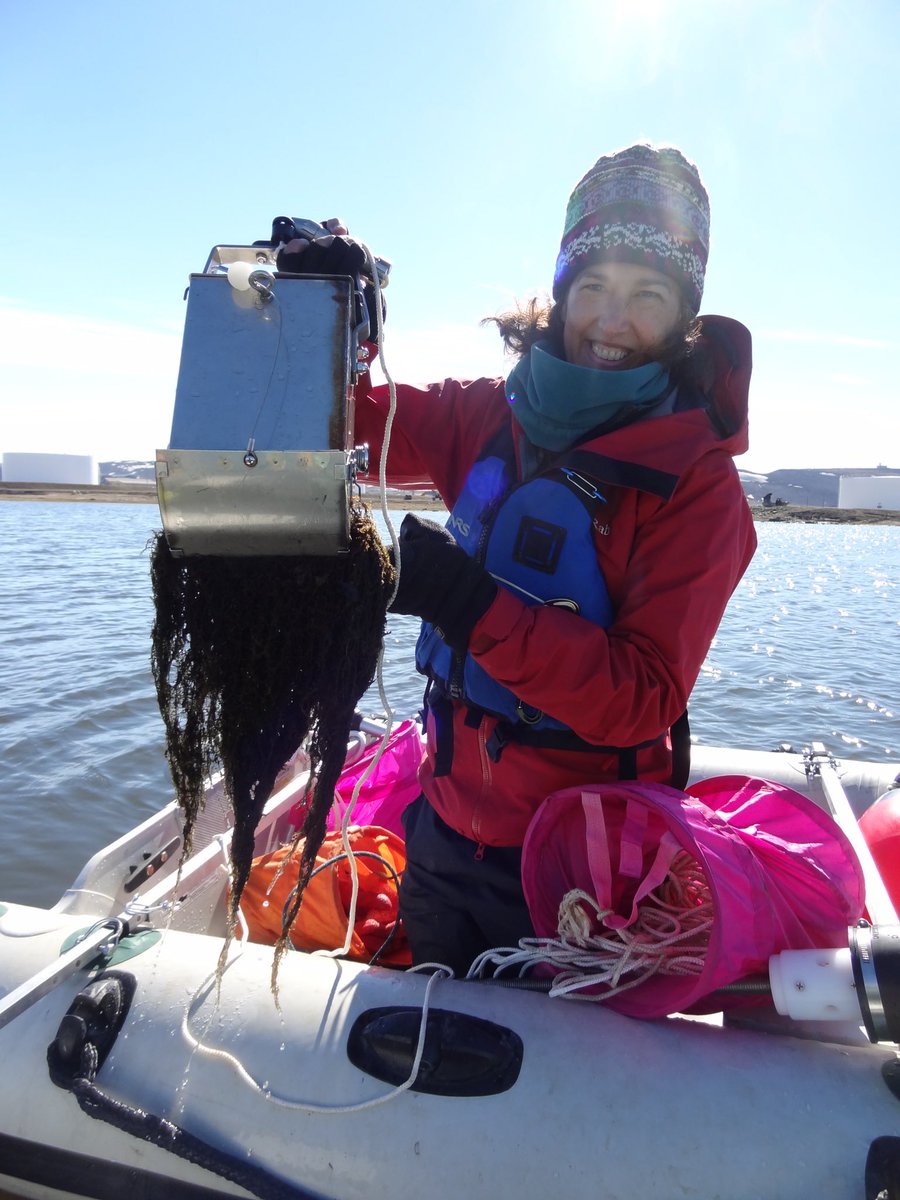 This afternoon at #AGU23 - Are fast-growing, common aquatic mosses nifty little archives of spring-summer-fall changes in Arctic lakewater isotopes? Could they record past Arctic seasonality? <a href="/PetePuleo/">Pete Puleo</a> tells all…