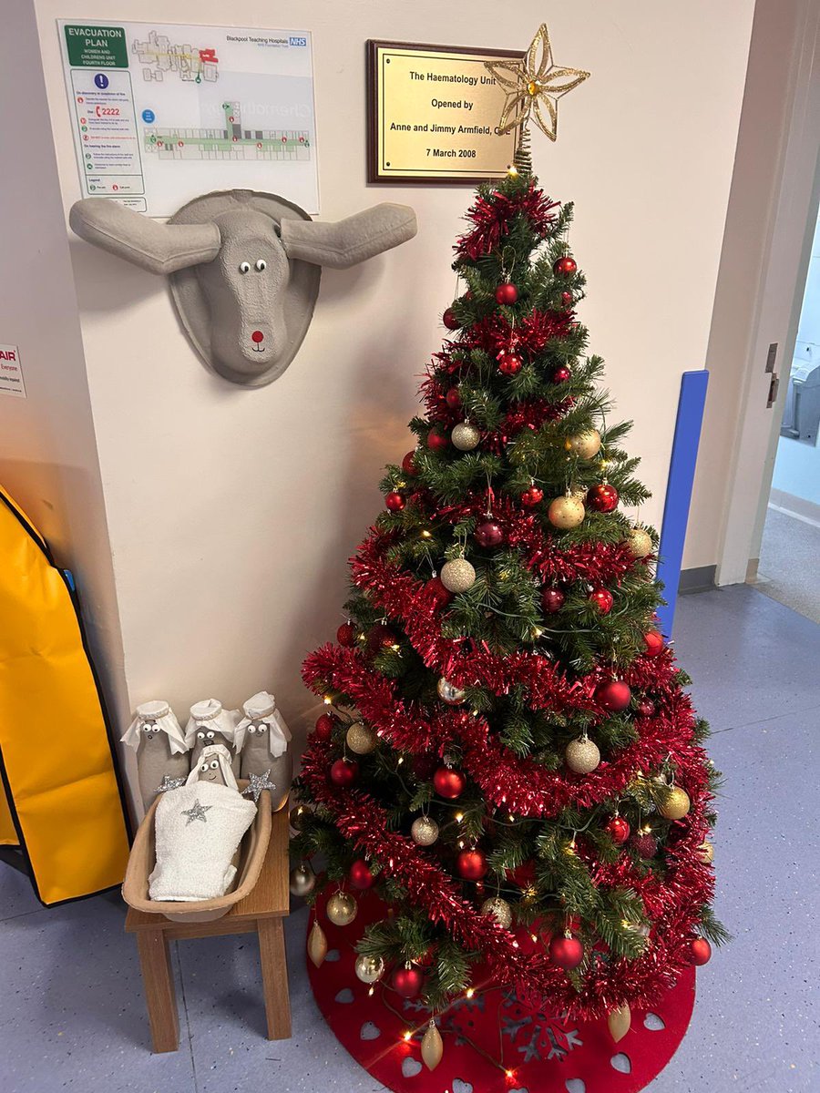 Christmas decorations expanding on the haematology ward thanks to the creativity of one of our amazing patients