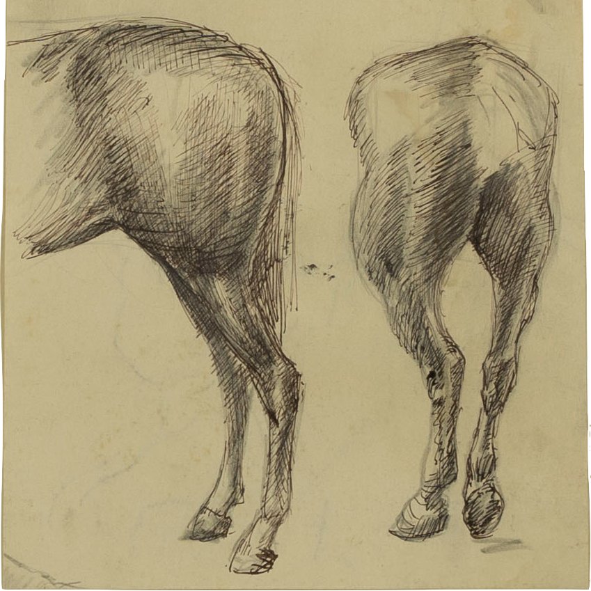 Anatomy of a horse is a horse of course. Some come in from behind.  #StuartSutcliffe 🎸early Beatles bassist, but art was his passion. 🎨 Experience #60sArt @SutcliffeEstate fine art + portfolios of poetic sketches #strong ow.ly/Ko0J50QbKSP #AllYouNeedXXX