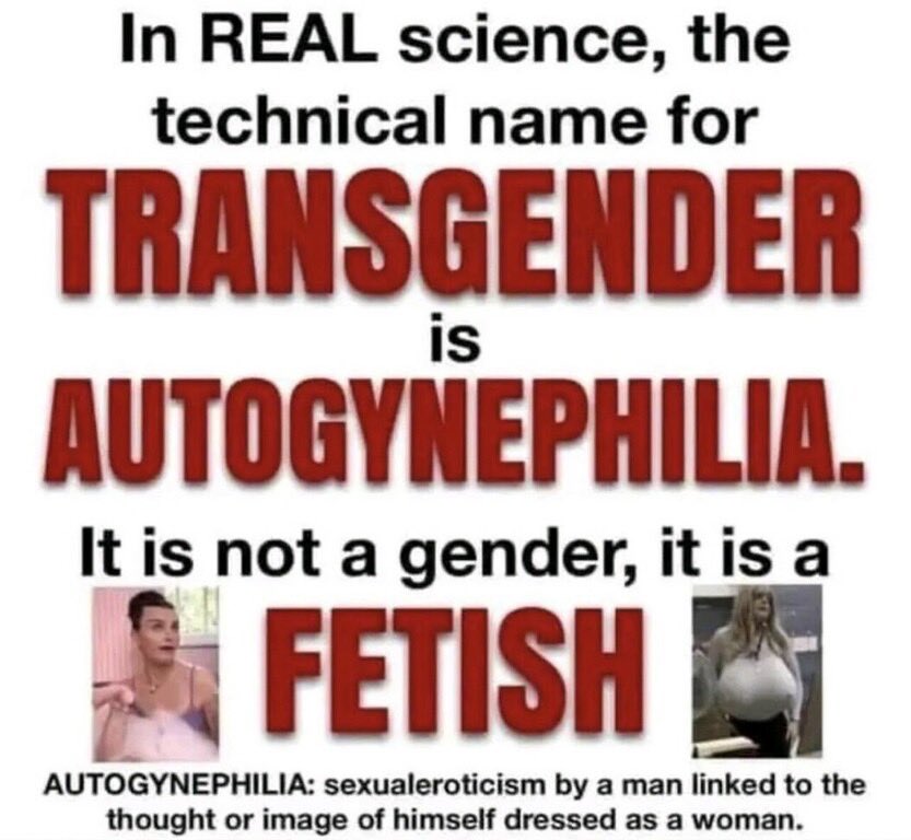 <a href="/libsoftiktok/">Libs of TikTok</a>