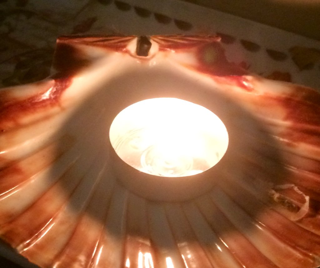 AstridMorin2's tweet photo. Tu es partie en 2015... C'est ton Anniversaire aujourd'hui... Je ne t'oublie pas Maman 😪 https://t.co/C2GET0qHLB