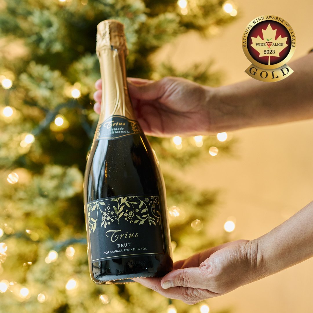 Gifting a bottle of our Brut is an easy yet impactful way to demonstrate that you think the recipient is worthy of celebration.

Our Brut recently won a Gold Medal at the Wine Align National Wine Awards of Canada 2023, receiving 92 points. #TriusBrut #TriusWines