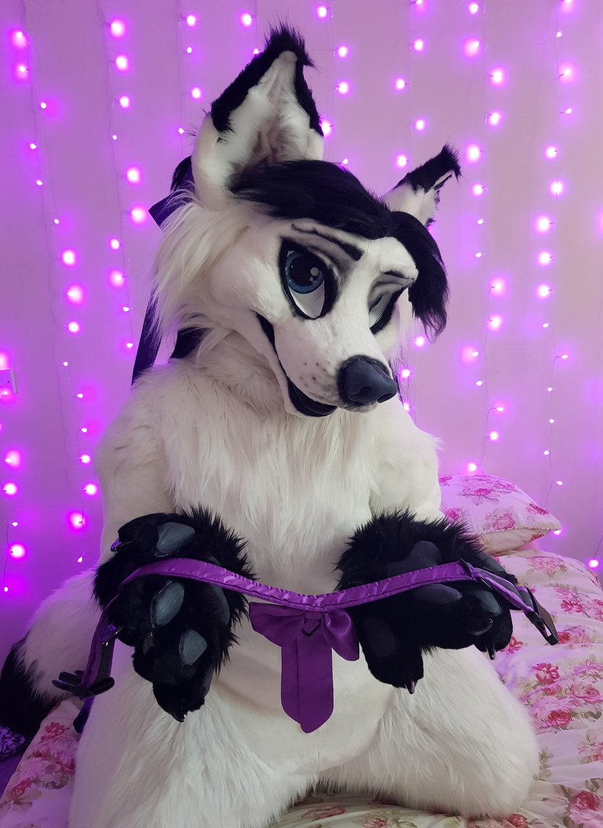 Foxyvix1's tweet image. Think you can tame me?