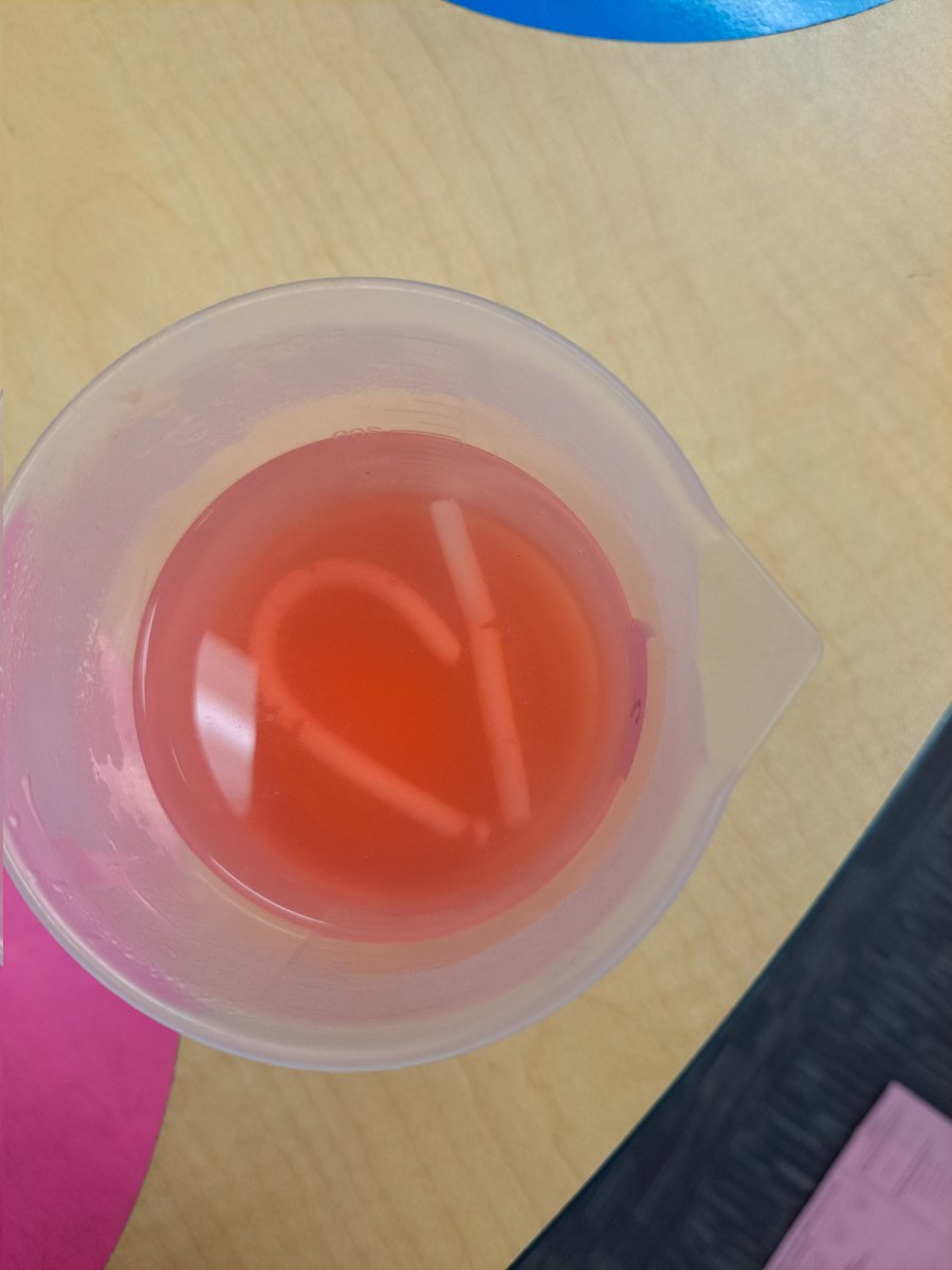 lundy_liz's tweet image. Common Experiment Day 2: After five minutes, the candy cane in hot water was almost gone. Cold water and room temperature water lost some color in 5 minutes. @McInnis_VCS #vcsscientists