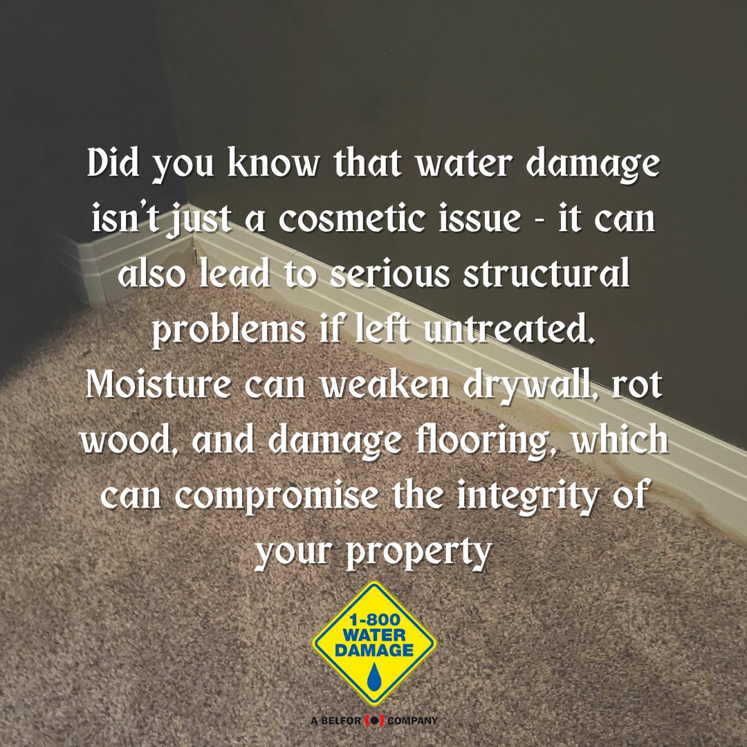 DryingExpert's tweet image. 