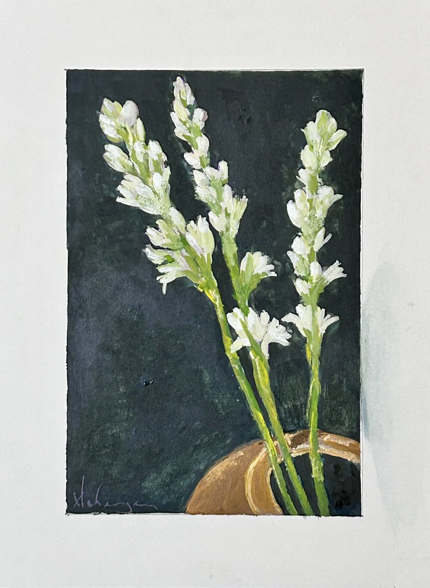 Day 45/50 to 50 Bought a few sticks of Rajnigandha (Tuberose) commonly found this time of the year and has exquisite fragrance. My favorite flower! It blossoms mainly at night emitting strong fragrance. Rajnigandha 9x6 inches Gouache 12/11/23 Mumbai