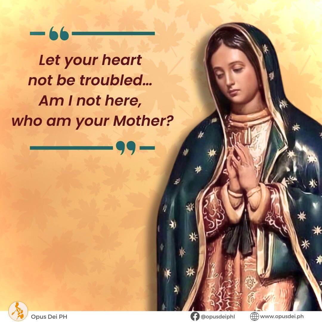 #HappyFeastDay 
OUR LADY OF GUADALUPE December 12