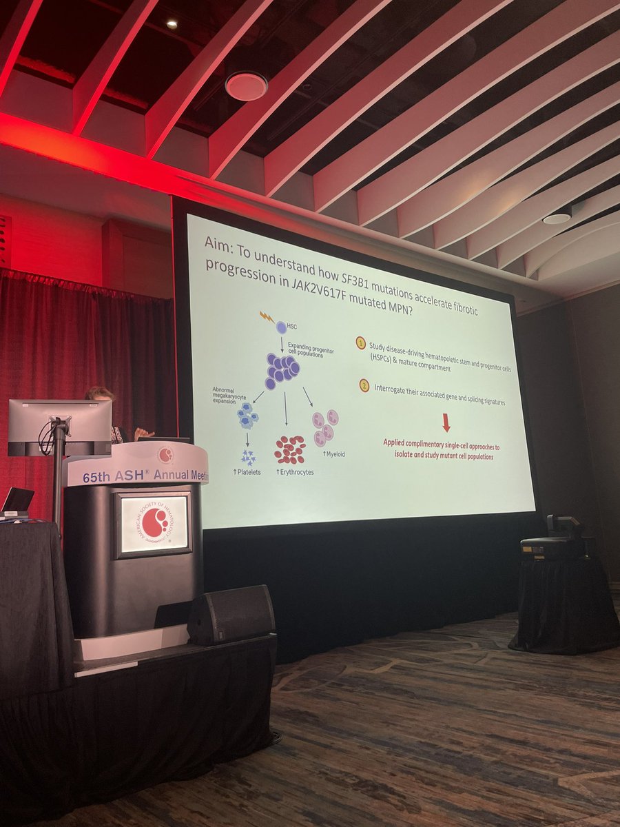 Adam Mead tweet media