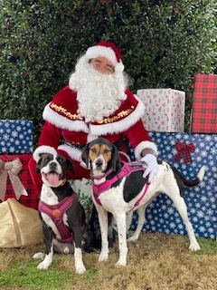 Santa at PETA Norfolk with happy rescued dogs!