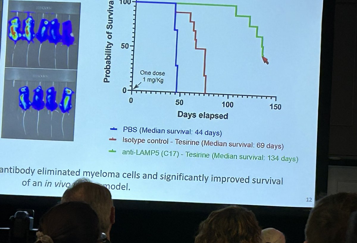 Carrying the LAMP for #myeloma LAMP5 =mediator/ target for HRMM #mmsm #ASH23 @Myeloma_Doc