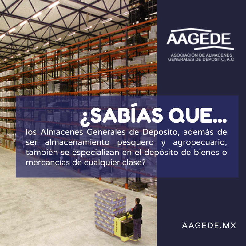 AAGEDEAC's tweet photo. ¡Los AGDs también almacenan bienes y todo tipo de mercancías!📦🌽🧢📱

#serviciodelogistica  #PorLaAgricultura #ImportacionMexico #UnionesdeCredito  #comercioexterioryaduanas #almacenesdedeposito  #almacenes #almacenesmexico #aduanasmx #aduanasmexico #aduanamx #aduanamexico https://t.co/leDcQ5YOf2