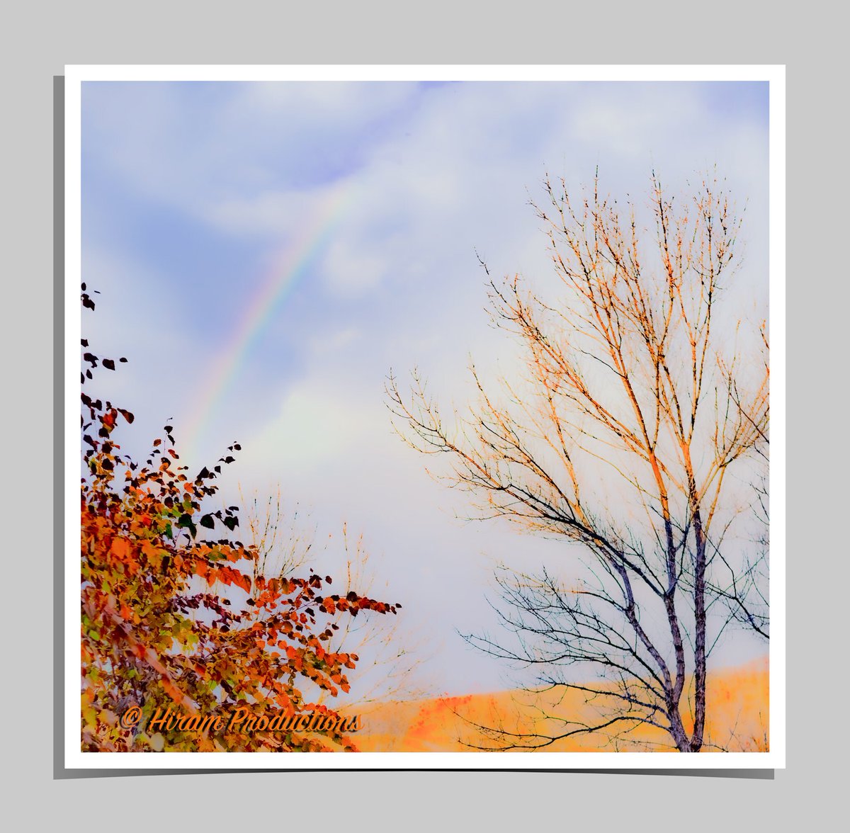 'Rainbow in a tree'

#nikon #nikonphotography #nikonphotographer #rainbows #rainbow #adobephotoshop #adobelightroom #camera #cameras #photographybusiness #photoshopediting #editingskills #editingmagic #film #advertisingphotography #idaho #idaholiving #art #ideas #filmstudio