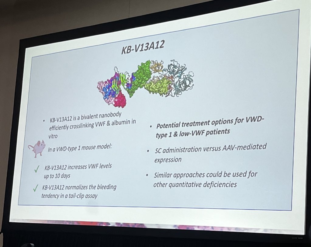 Wow! @caterinacasari reveals a novel bi-specific nanobody that increases VWF levels and reverses bleeding in a mouse model of Type 1 VWD. #ASH23 #bleeding #vonwillebranddisease