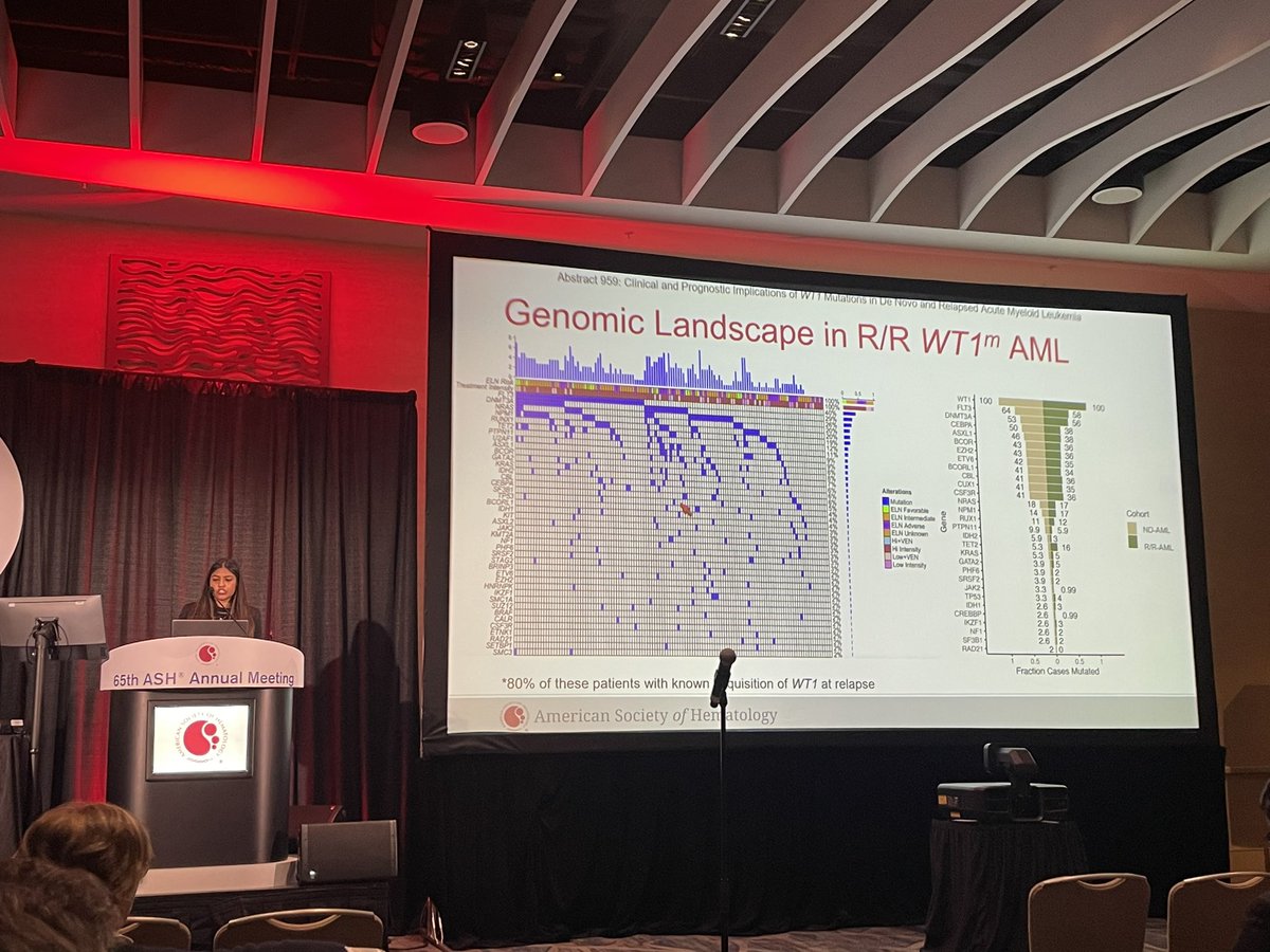 .@HimaglobinA presenting 2 oral abstracts at #ASH23 & rocking them both. 🙌 Special shoutout to @MariaSirenko 4 her beautiful plot @Ramikomrokji Jeremy DiGennaro, C. DiNardo 4 being the best collaborators in the field, & @SibaElHussein 4 the 👌 intro slide graphic #leusm