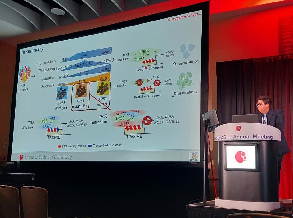 Diego Martins (@dap_martins) on Twitter photo Delighted to present at #ASH2023 our story on CEBPA-regulated DeltaTP73 expression mimicking TP53mut AML! Very grateul for this amazing collaboration between the <a href="/SchuringaLab/">Schuringa Lab</a>, <a href="/QuekLab/">Myeloid Leukaemia Genomics and Biology Group</a> and the RegoLab. Pre-print coming soon! Delighted to present at #ASH2023 our story on CEBPA-regulated DeltaTP73 expression mimicking TP53mut AML! Very grateul for this amazing collaboration between the <a href="/SchuringaLab/">Schuringa Lab</a>, <a href="/QuekLab/">Myeloid Leukaemia Genomics and Biology Group</a> and the RegoLab. Pre-print coming soon!